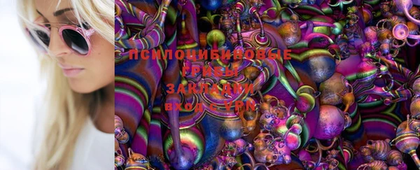 спиды Абаза